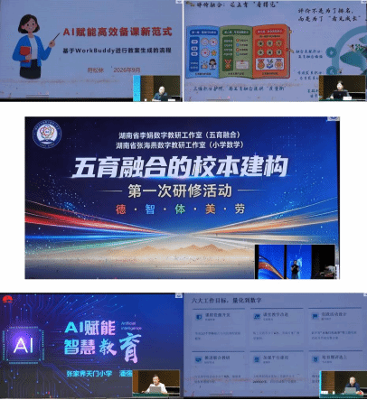 1790130636756024752.png 图片.png