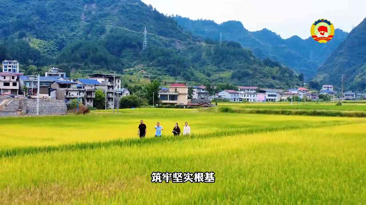 提案献策补短板  良田焕新助振兴——我市以政协提案办理推动高标准农田建设提质增效