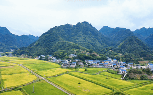 我市以政协提案办理推动高标准农田建设提质增效